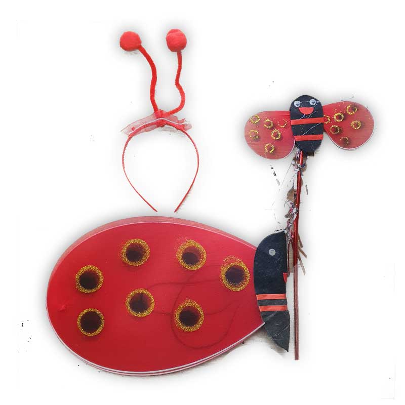 set-de-vaquita-de-san-antonio