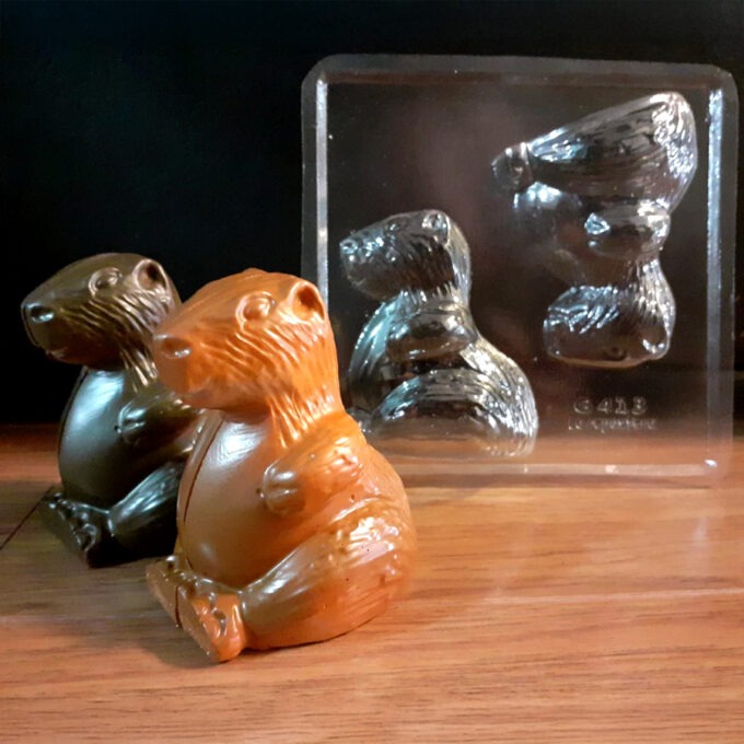 WhatsApp Image 2025-04-01 at 10.28.22 AM